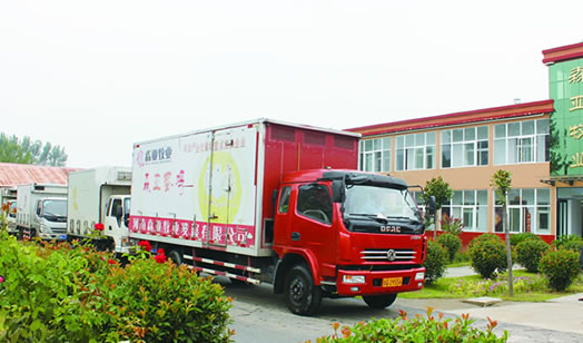 易游yy米乐app：龙园免费抓小公鸡攻略来咯！一步到位帮你完成抓鸡自在 